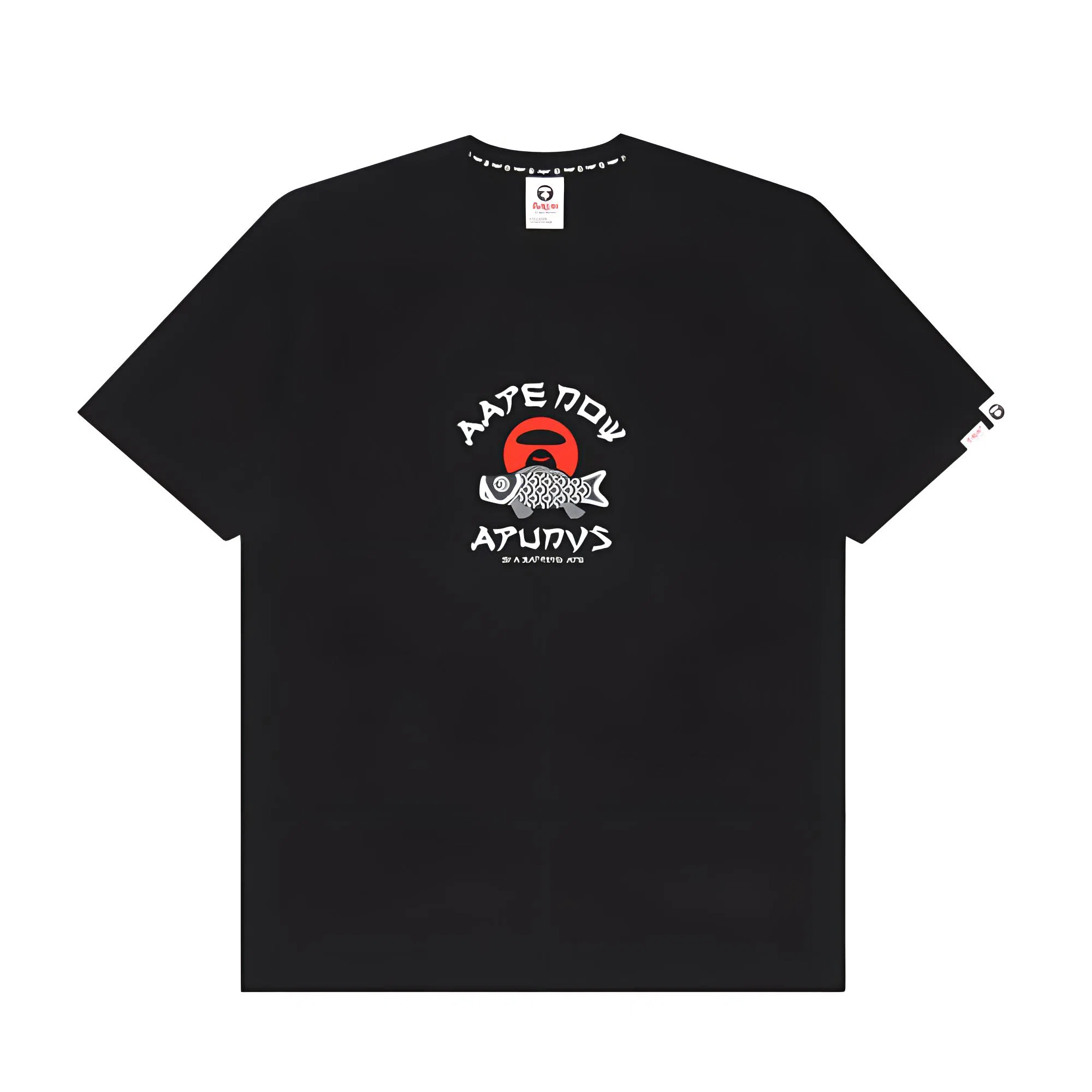 Aape T