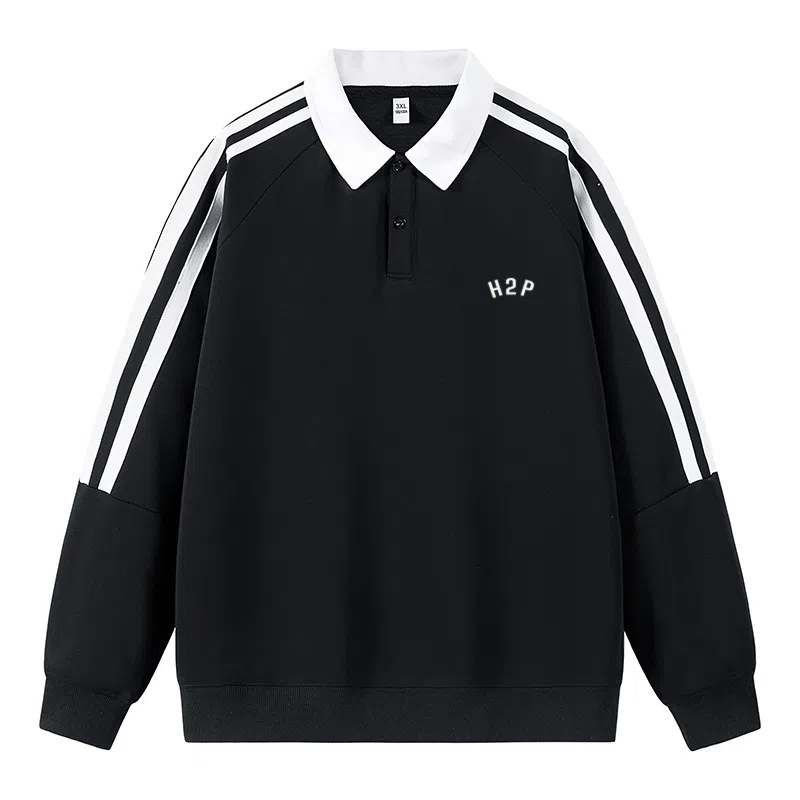 H2P logoPOLO