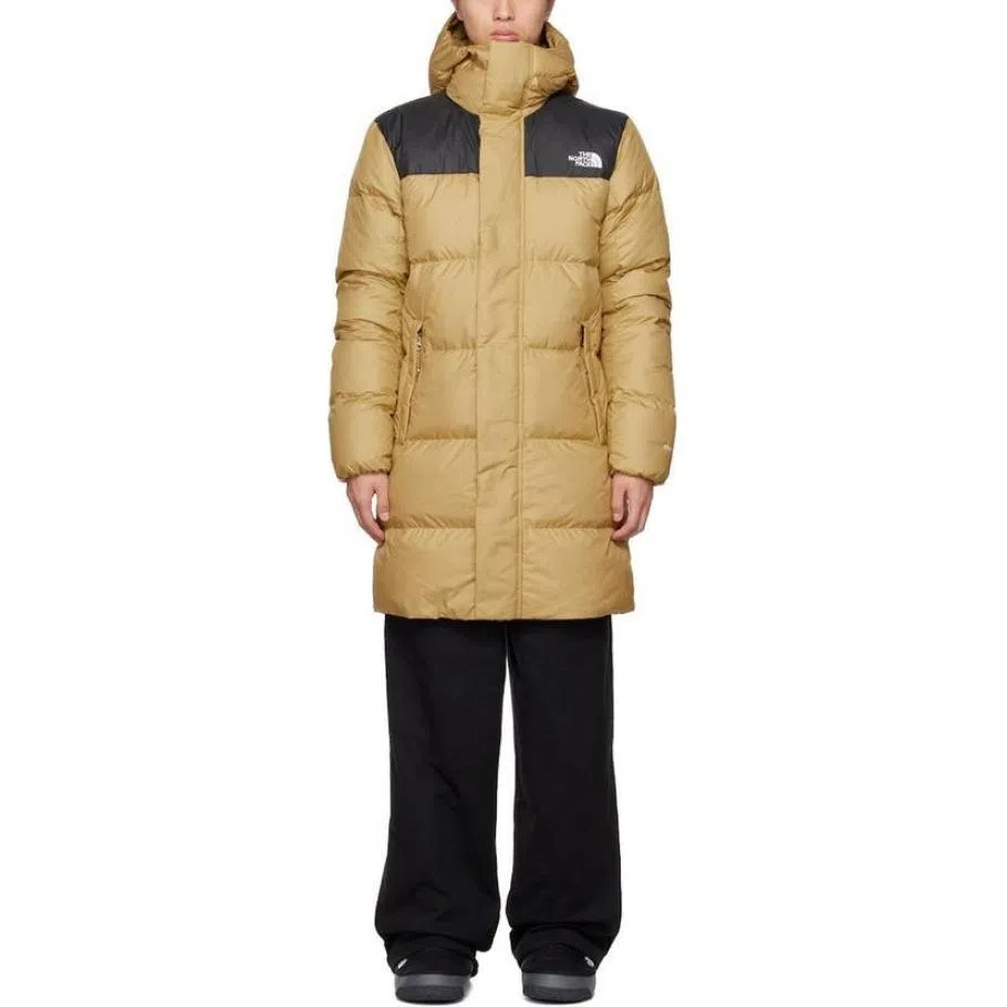 THE NORTH FACE FW22 Logo