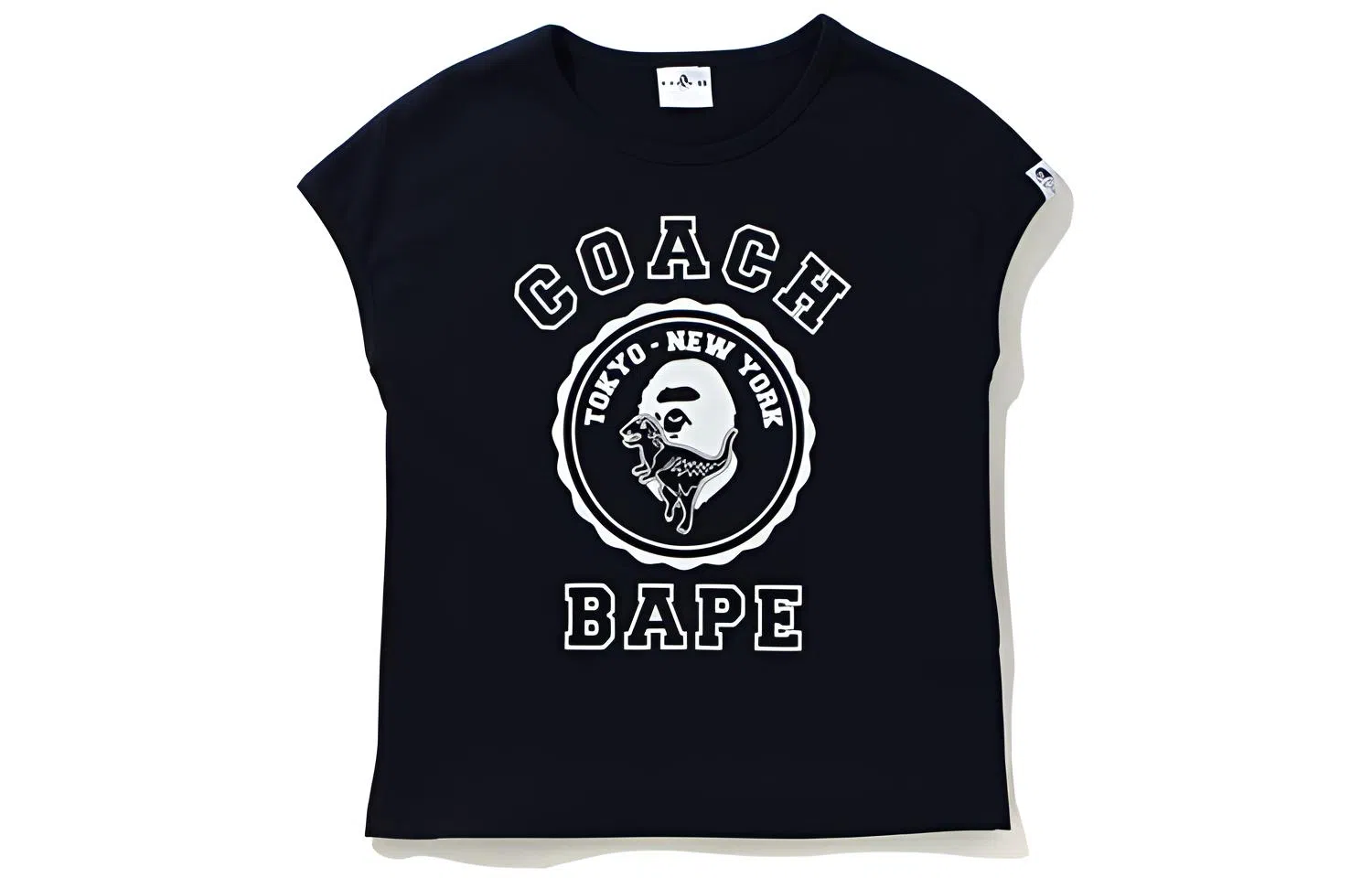 BAPE x COACH
