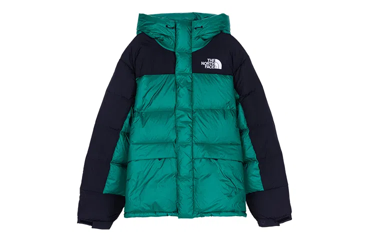 THE NORTH FACE DOWN PARKA ENERGY