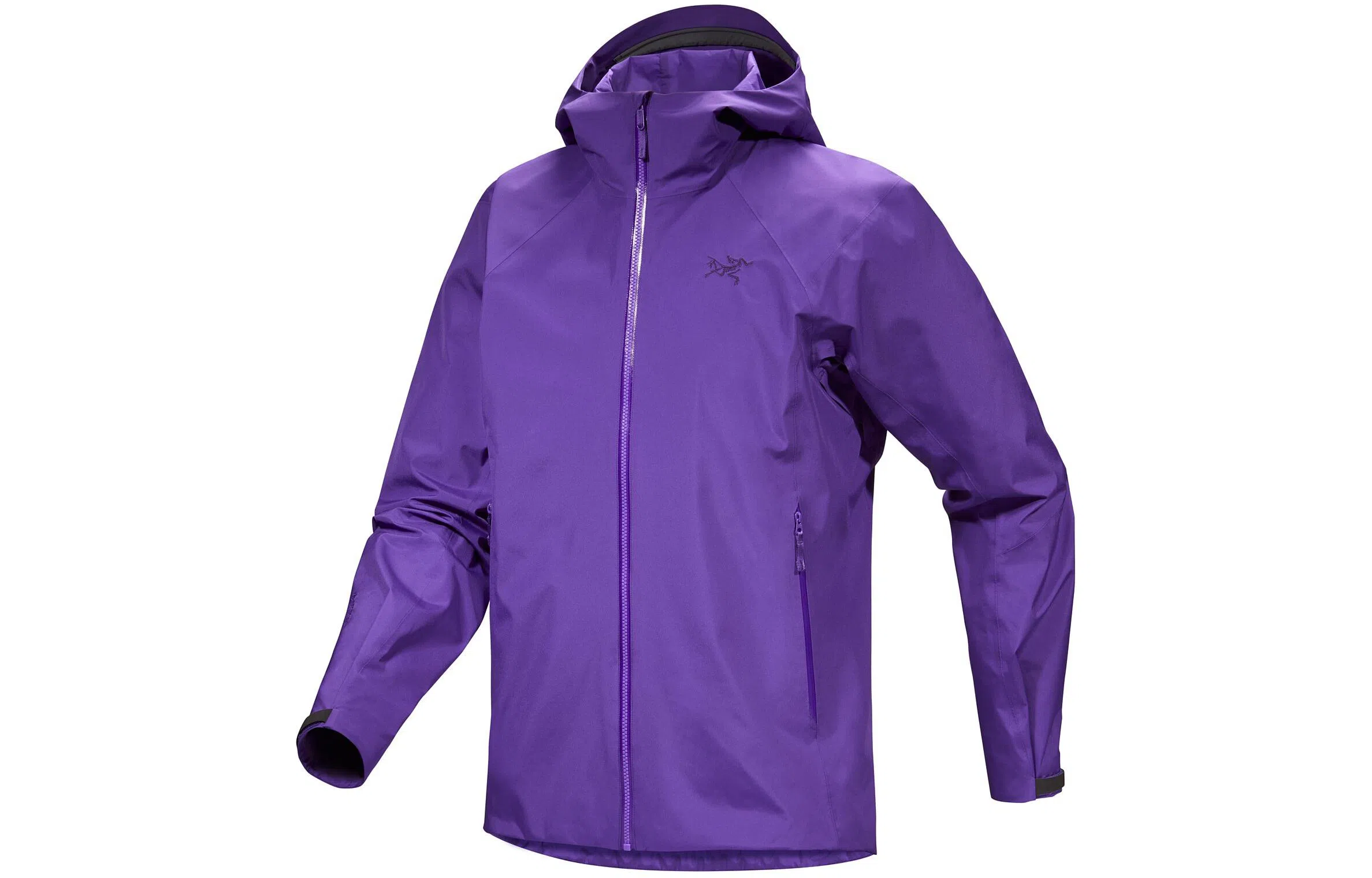 Arcteryx Kadin Hoody Logo