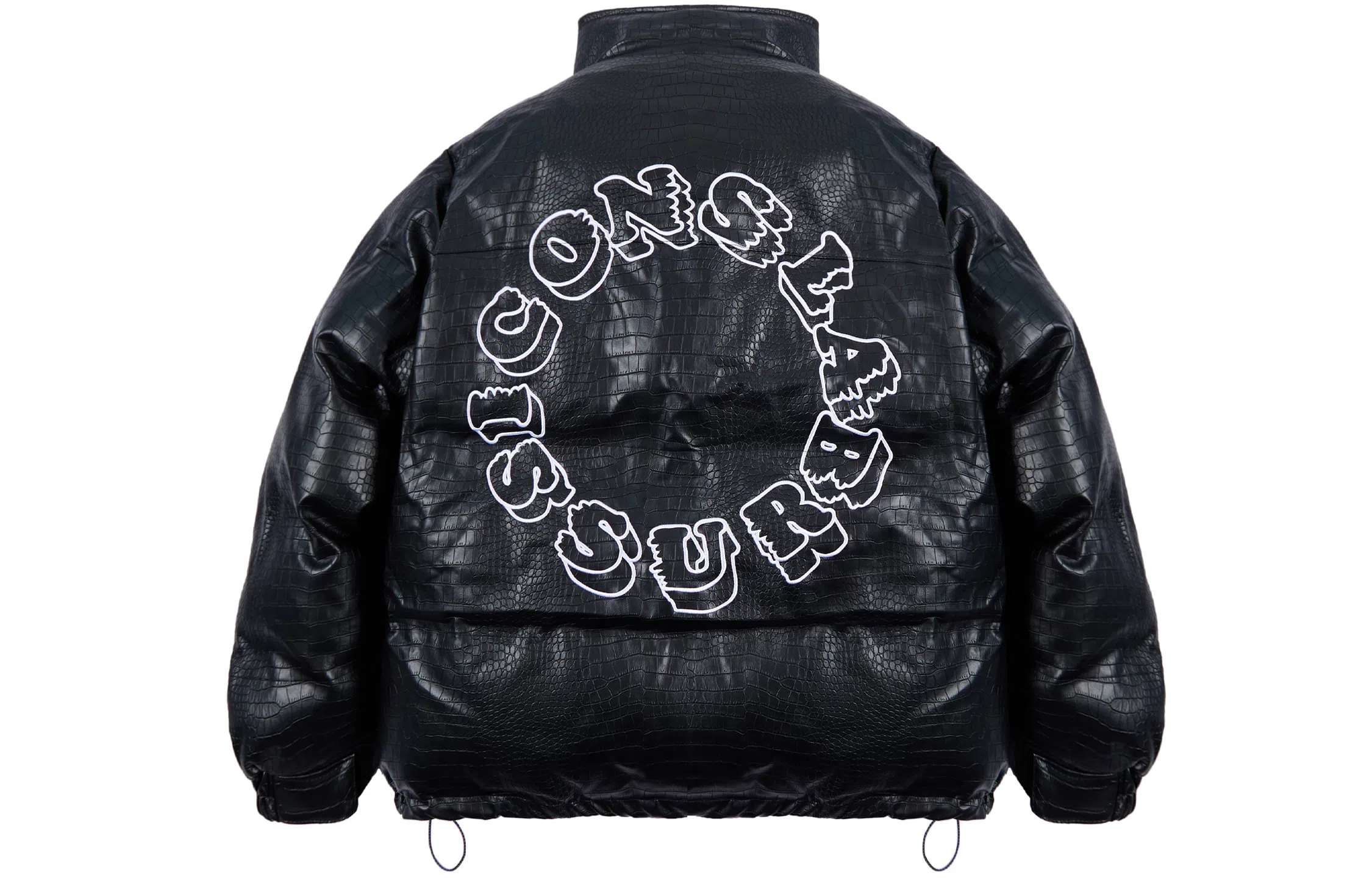 ICONS Lab Pu