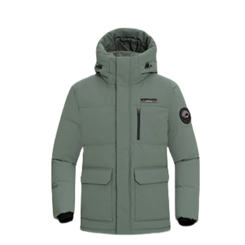 NORTHLAND PROFESSIONAL