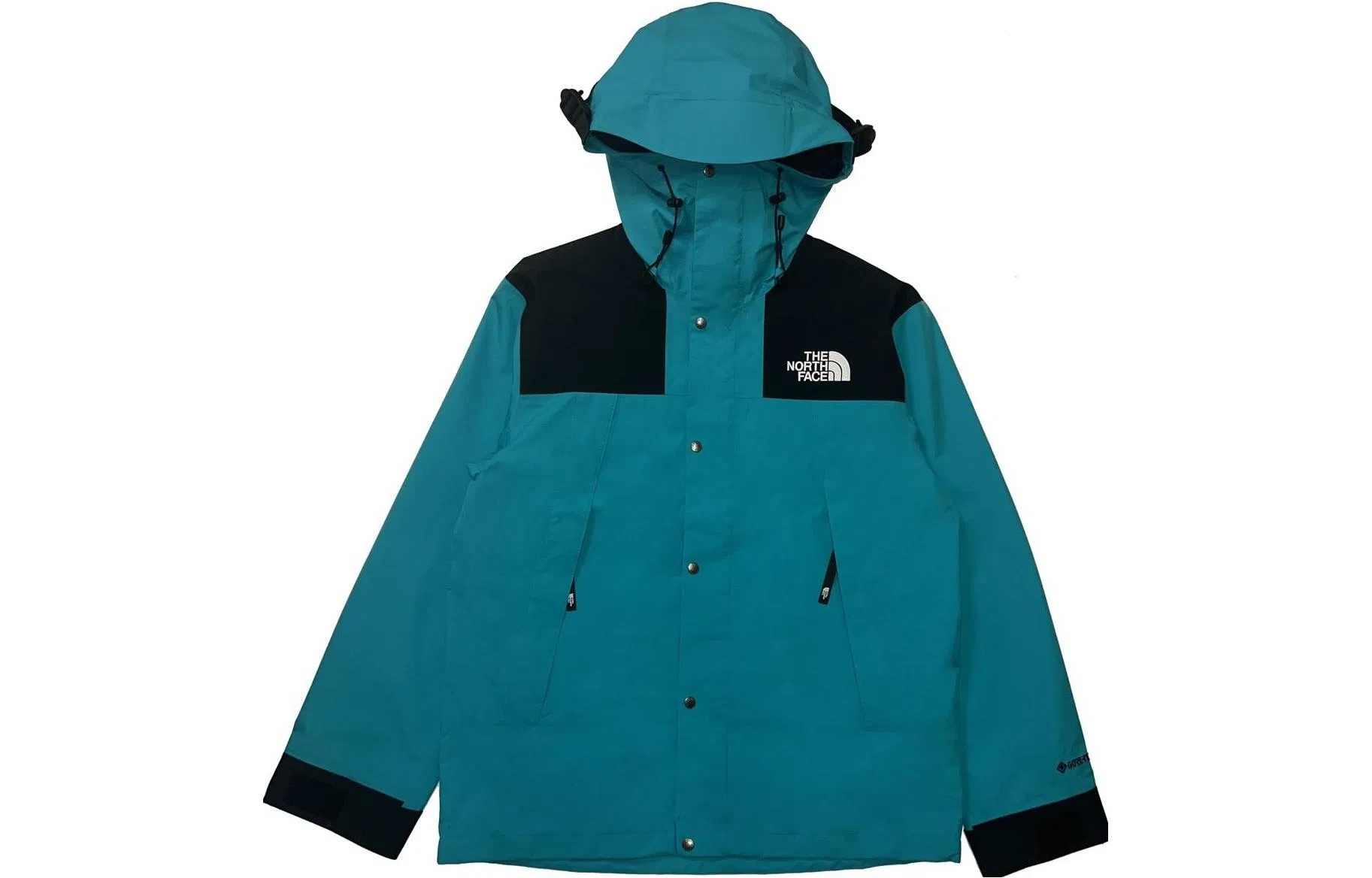 THE NORTH FACE 1990 1990 GTX Logo