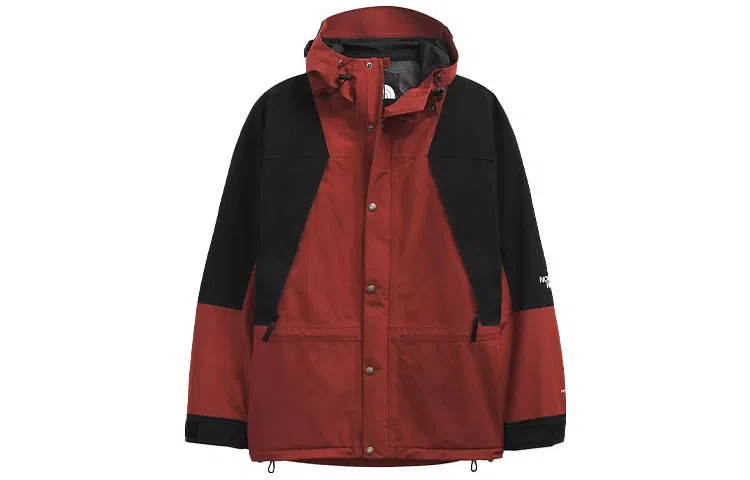 THE NORTH FACE 1994 Retro Mountain Light Futurelight Jacket