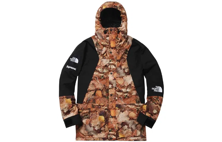 Supreme x The North Face FW16 Leaf Print Jacket Black
