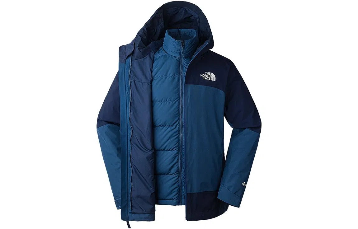 THE NORTH FACE GORETEX 550