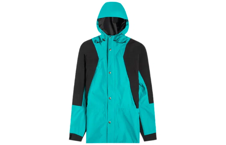 THE NORTH FACE 1994 Retro Mountain Futurelight