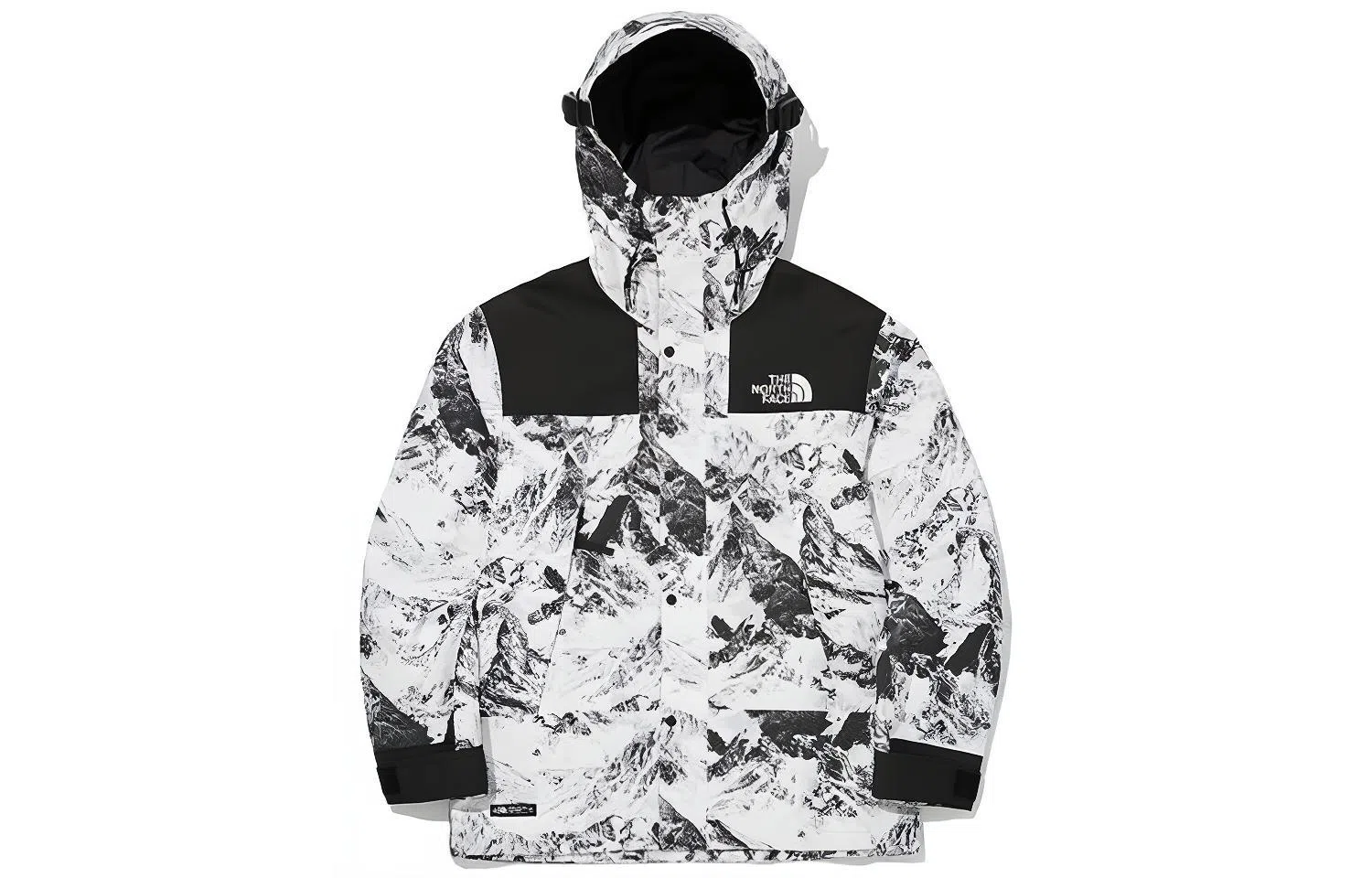 The North Face Gore-Tex 1990 Series