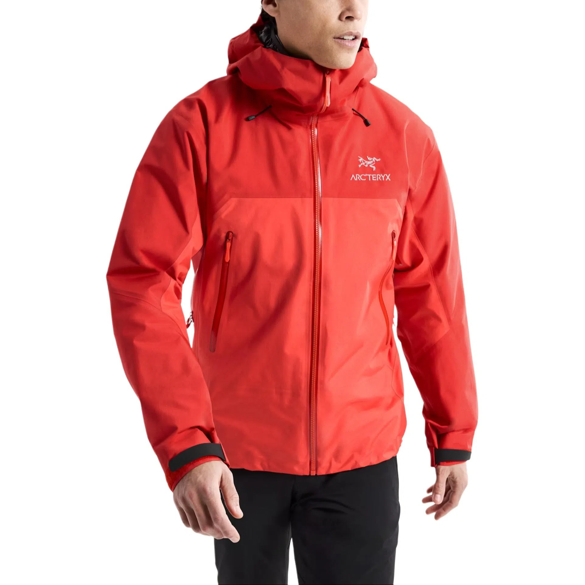 Arcteryx Beta AR StormHood Jacket