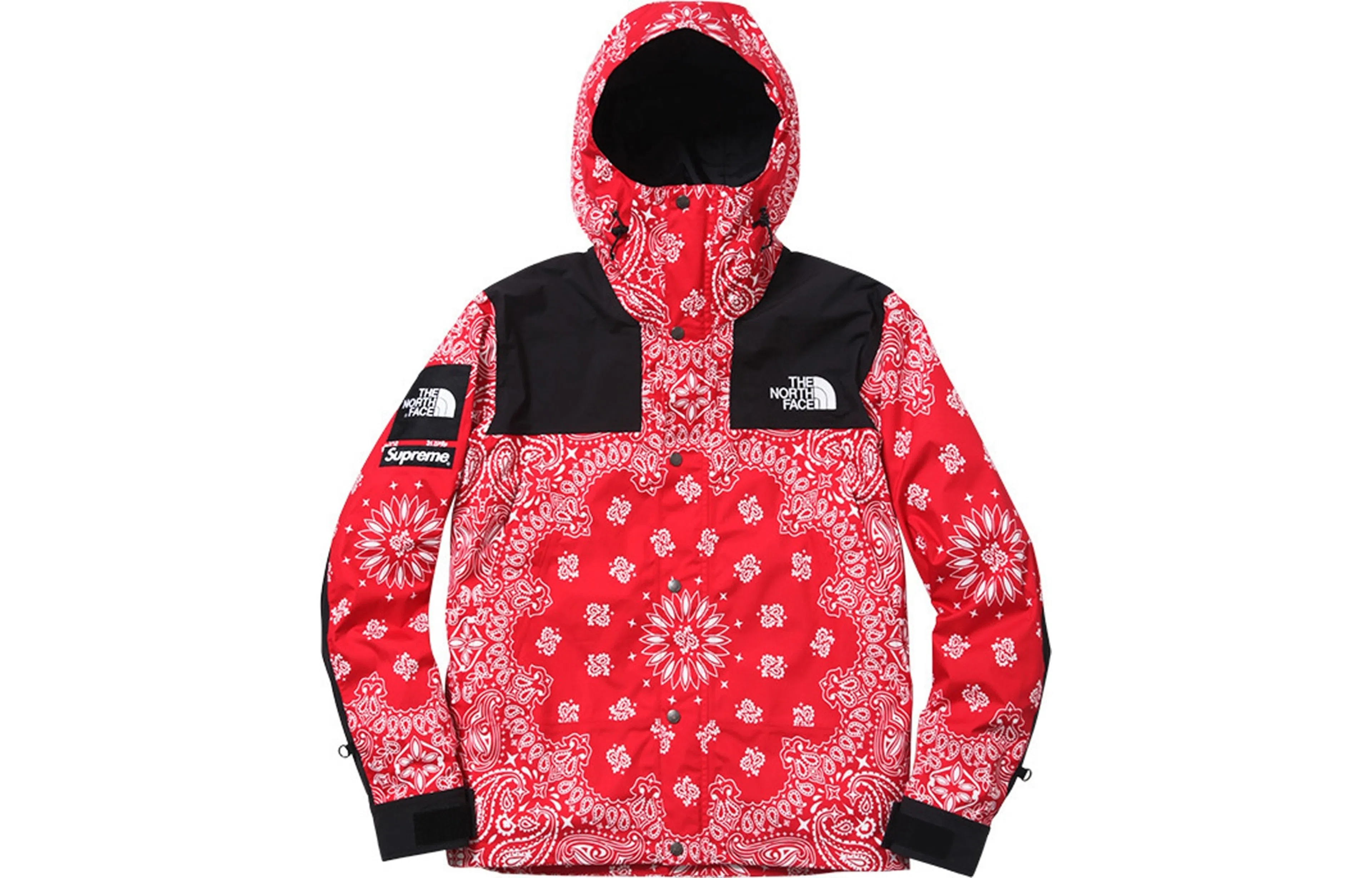 Supreme x The North Face Red Jacket