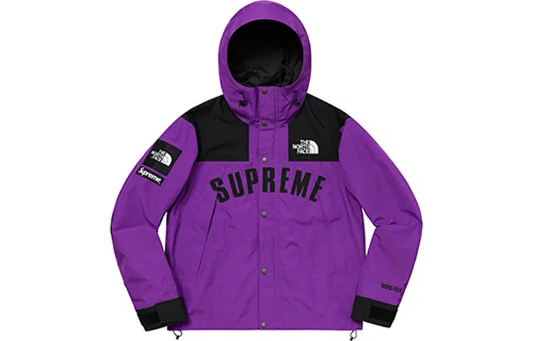 Supreme x The North Face SS19 Jacket Purple
