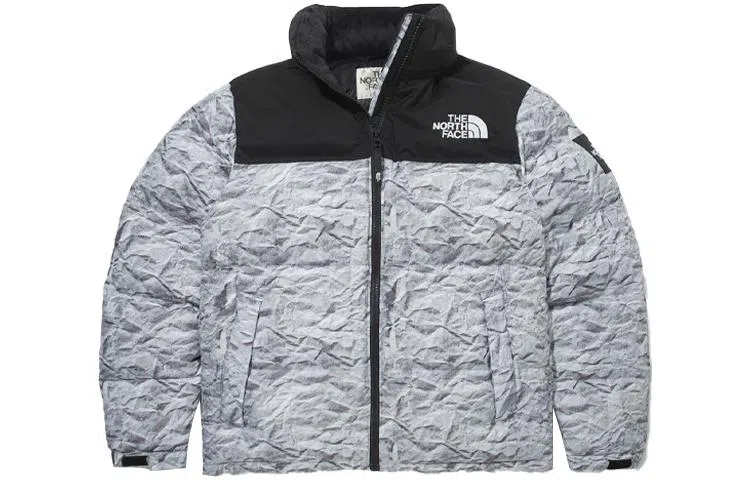 The North Face Novelty Nuptse Silver