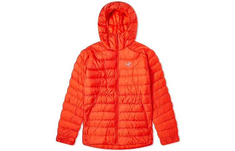 Arcteryx Cerium LT