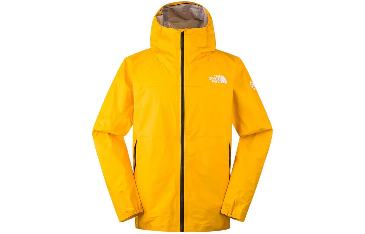 THE NORTH FACE Papsura Logo