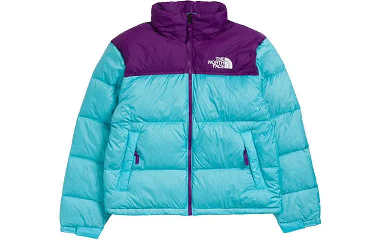 THE NORTH FACE 1996 Retro Nuptse 700