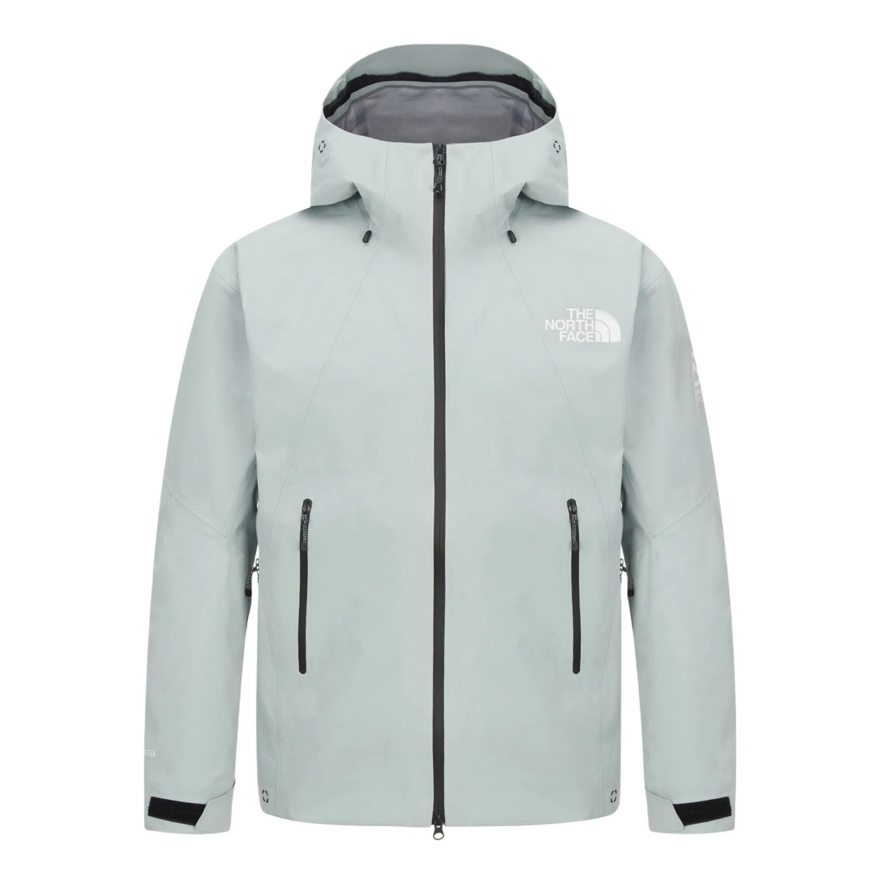 THE NORTH FACE GTX THETA