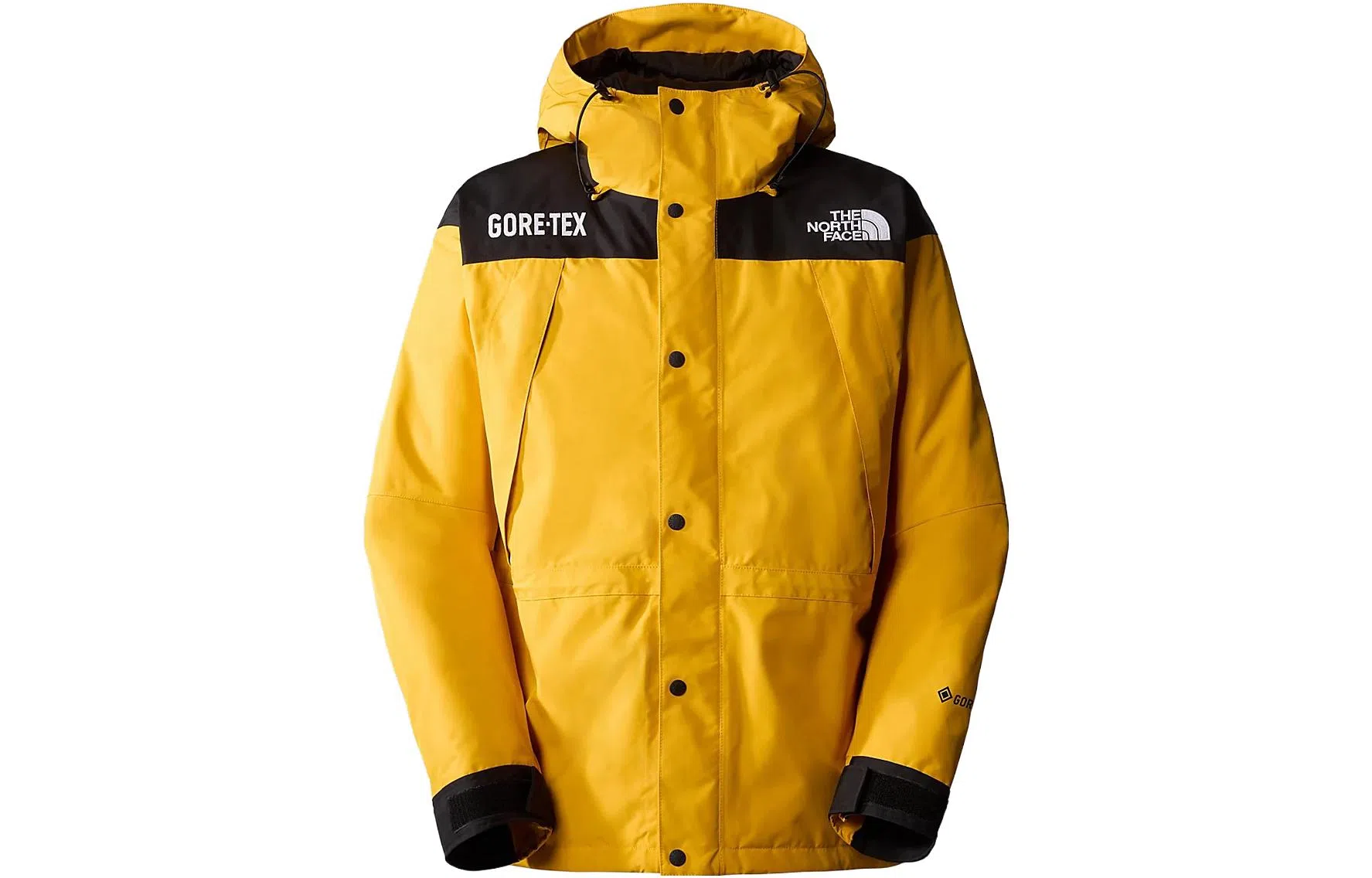 The North Face GTX Mountain Jacket