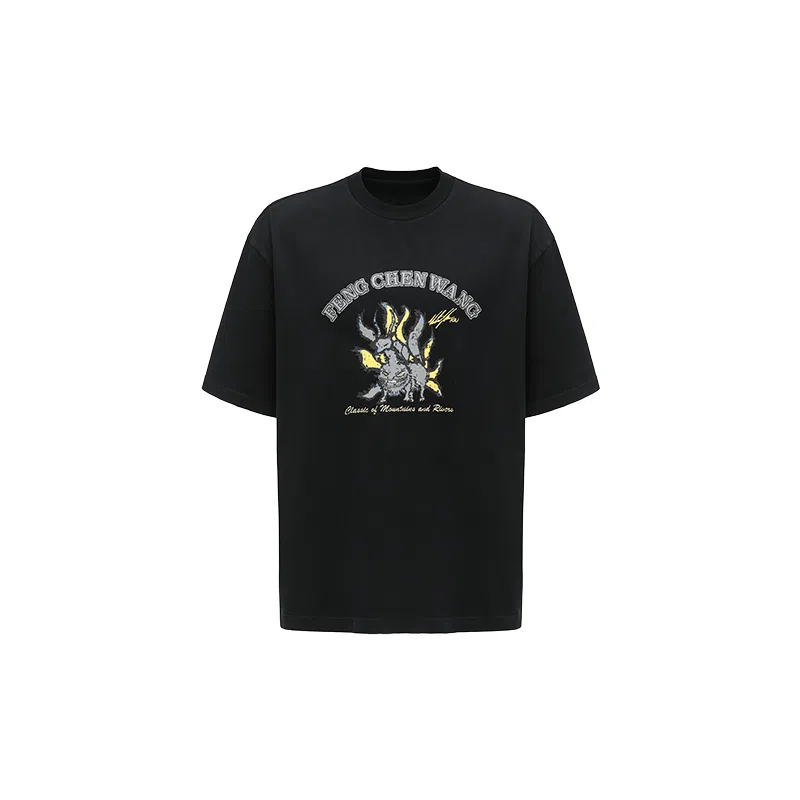 Feng Chen Wang ComplexT