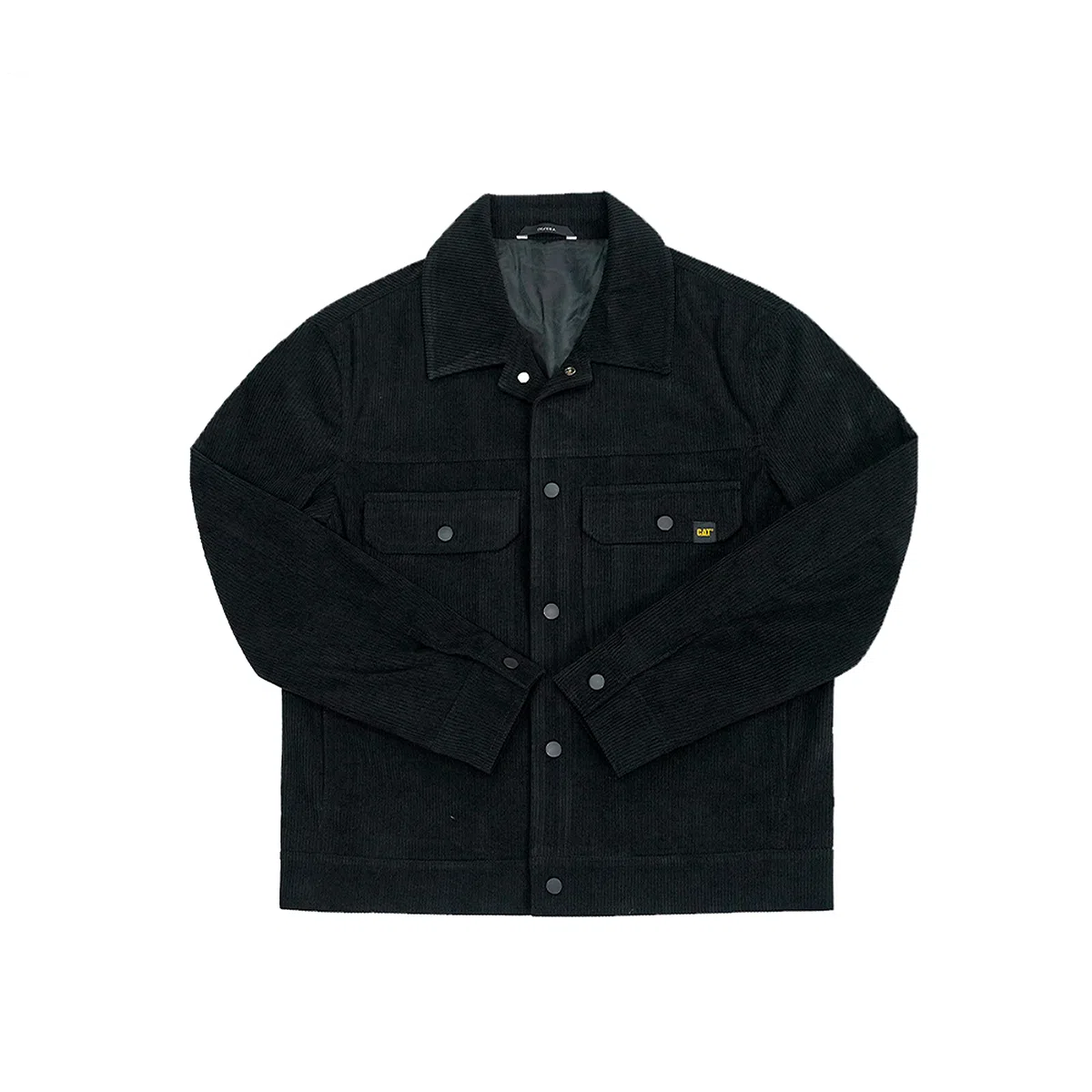 CAT SS25