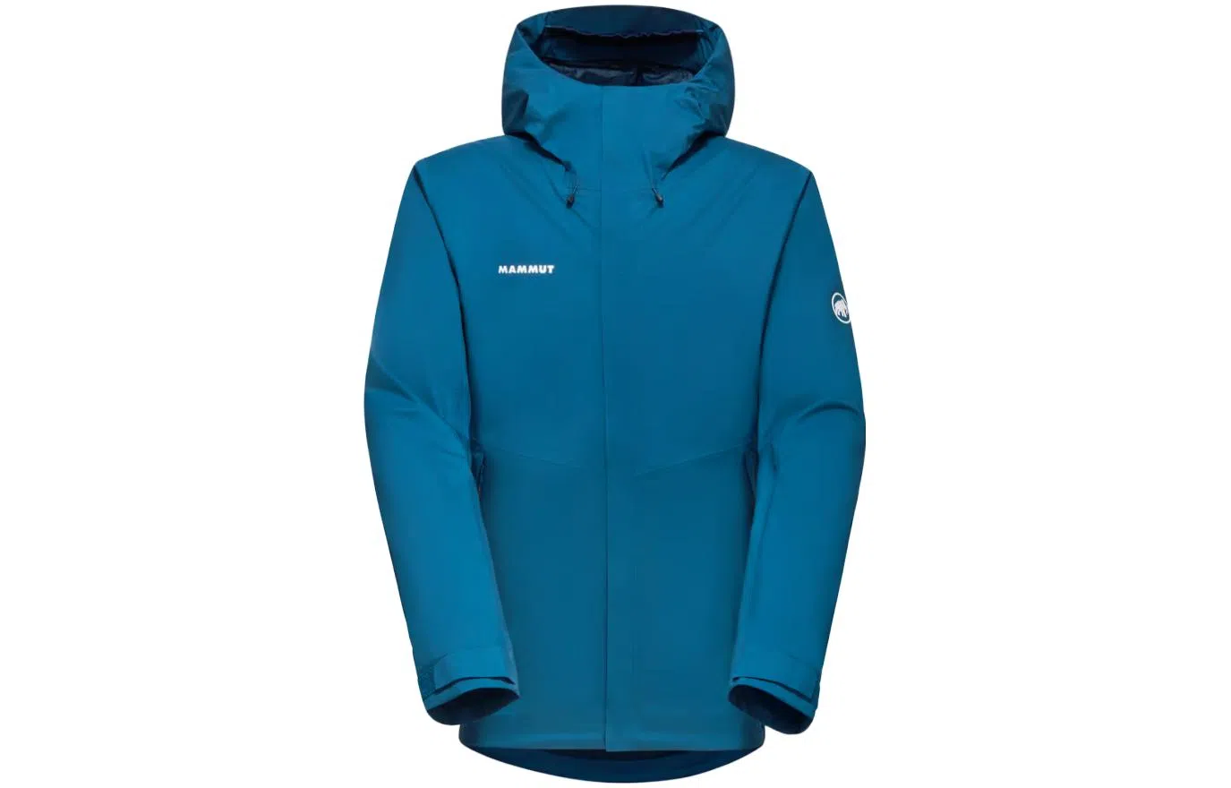 Mammut Logo Hoodie Jacket Men
