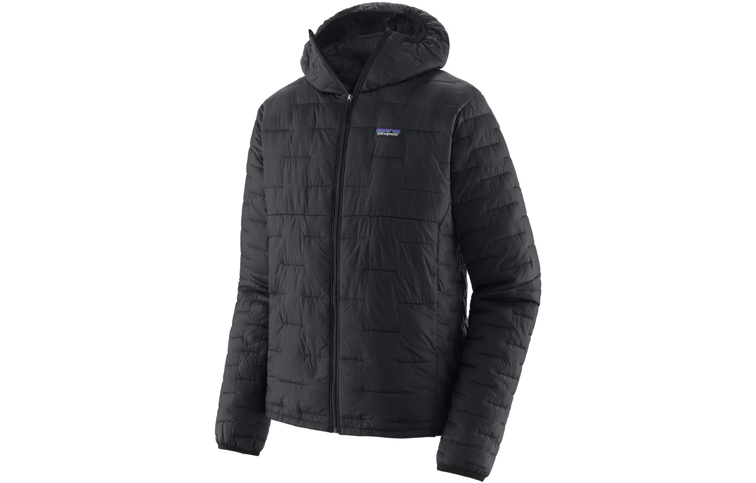 patagonia Micro Puff