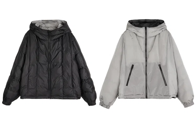 FW23