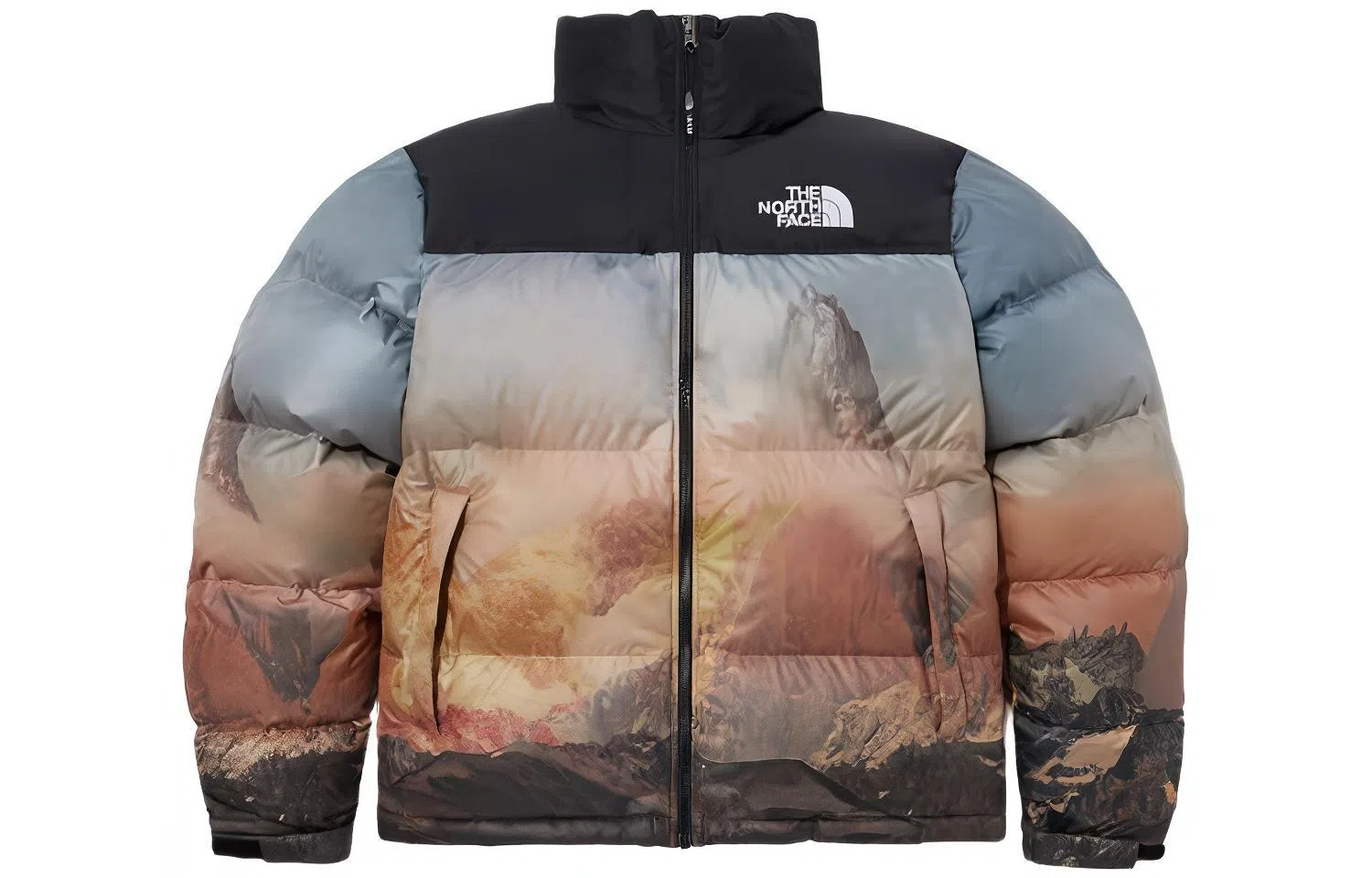 The North Face M's 1996 Novelty Nuptse Jacket