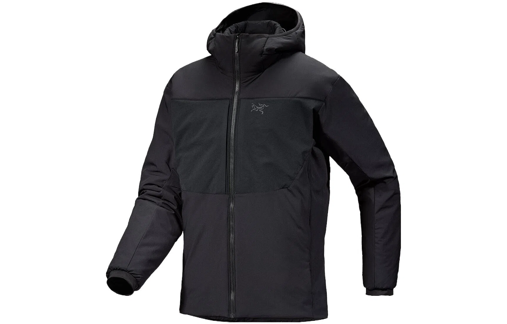Arcteryx Proton Heavyweight Hoody