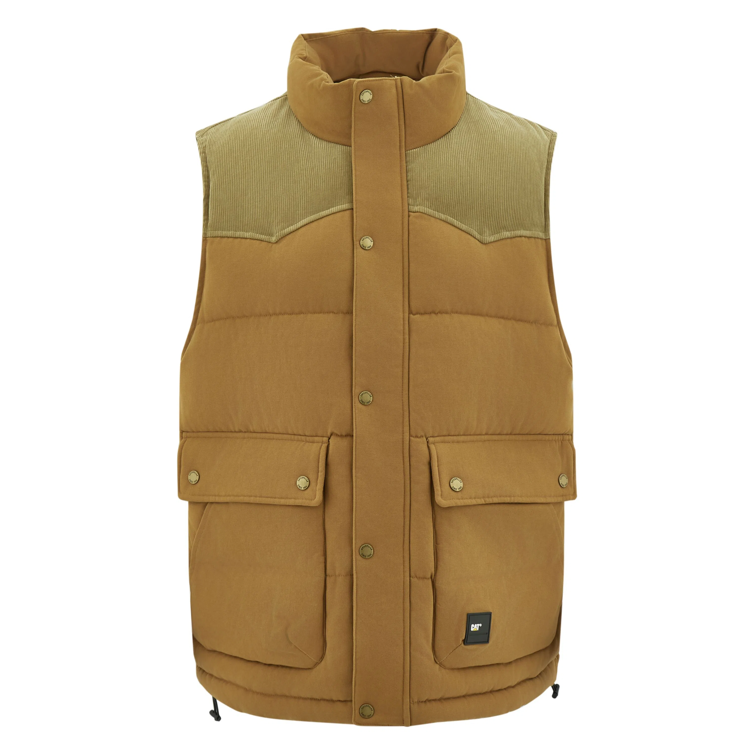 CAT FW24