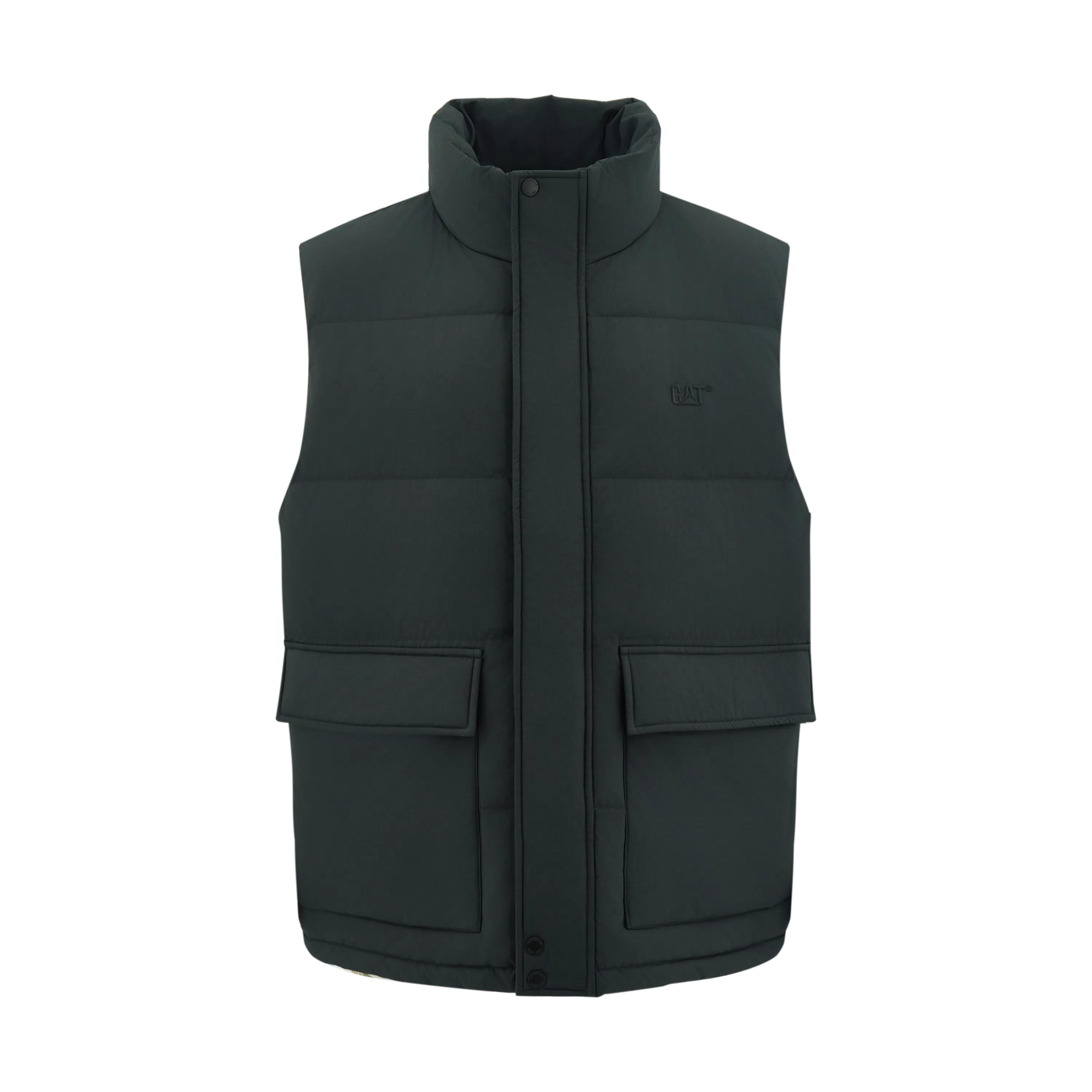 CAT FW24