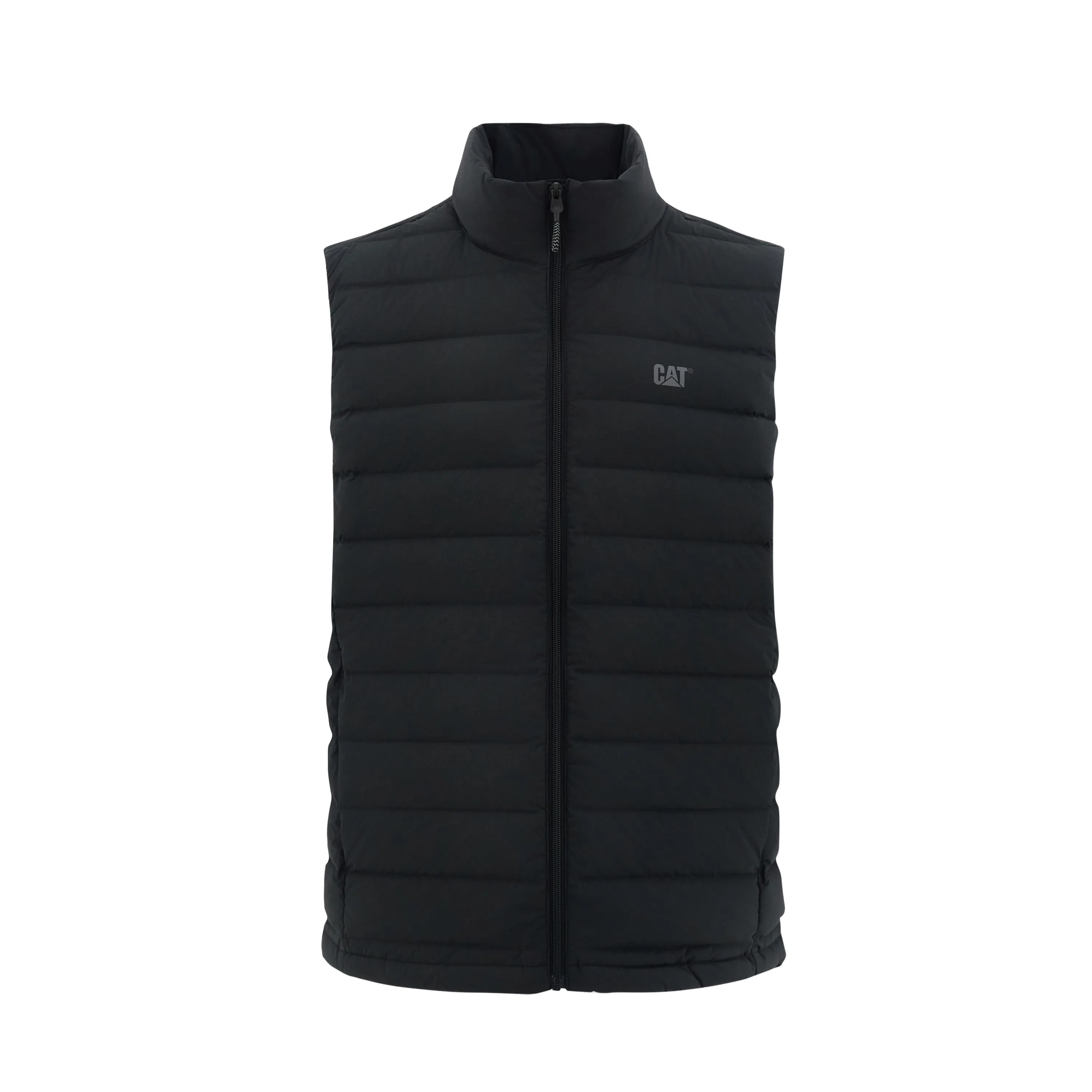 CAT FW24