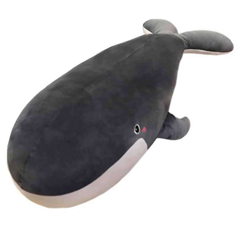 MORTEN SOLUM 50cm80cm1m1.2m1.5m