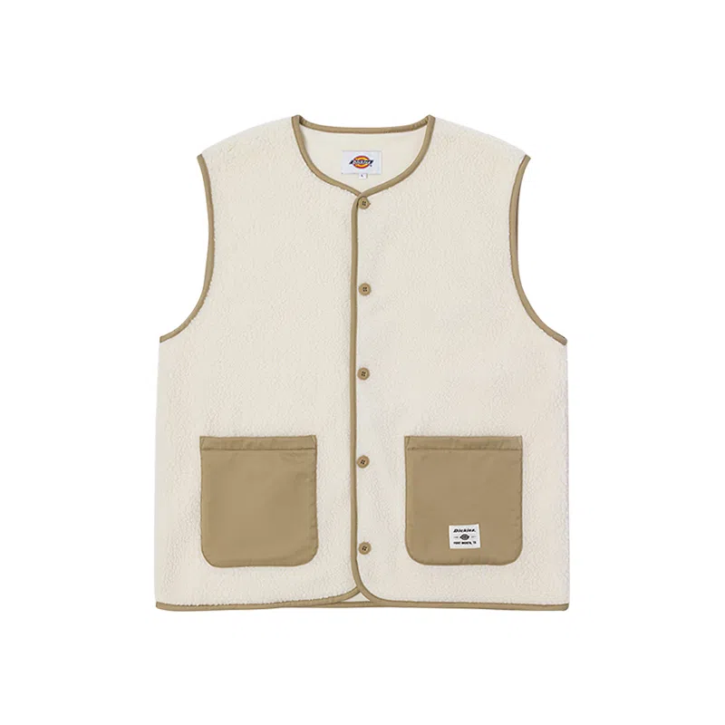 Dickies DK011260C10