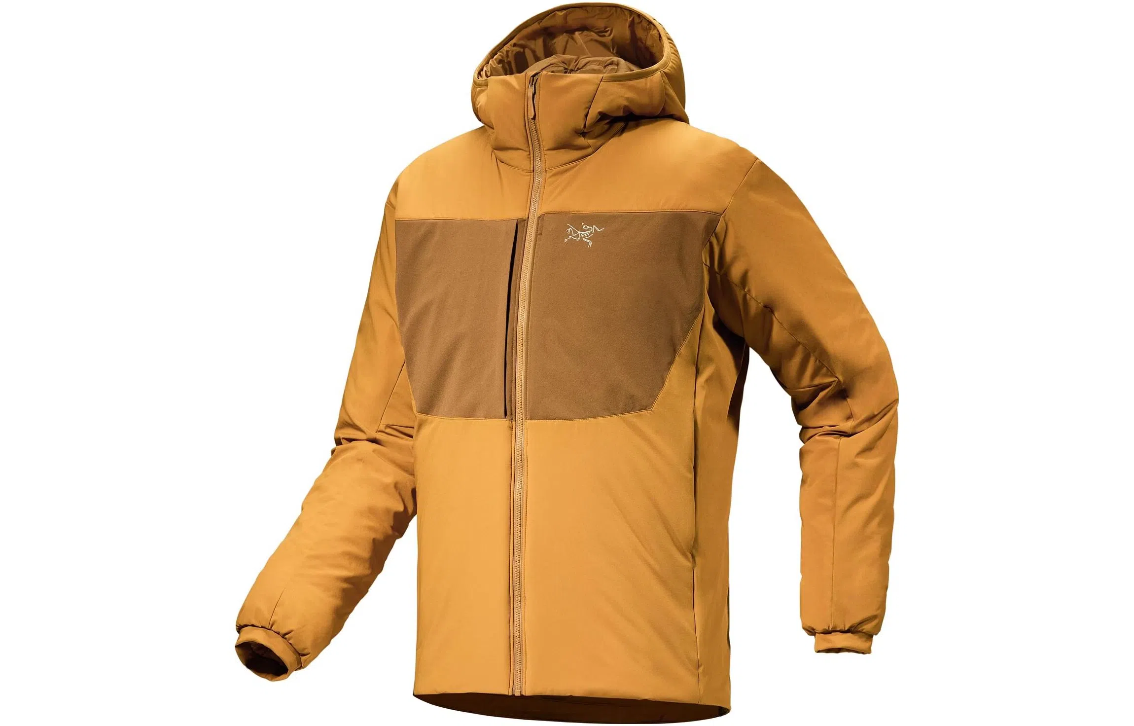 Arcteryx Proton Heavyweight Hoody
