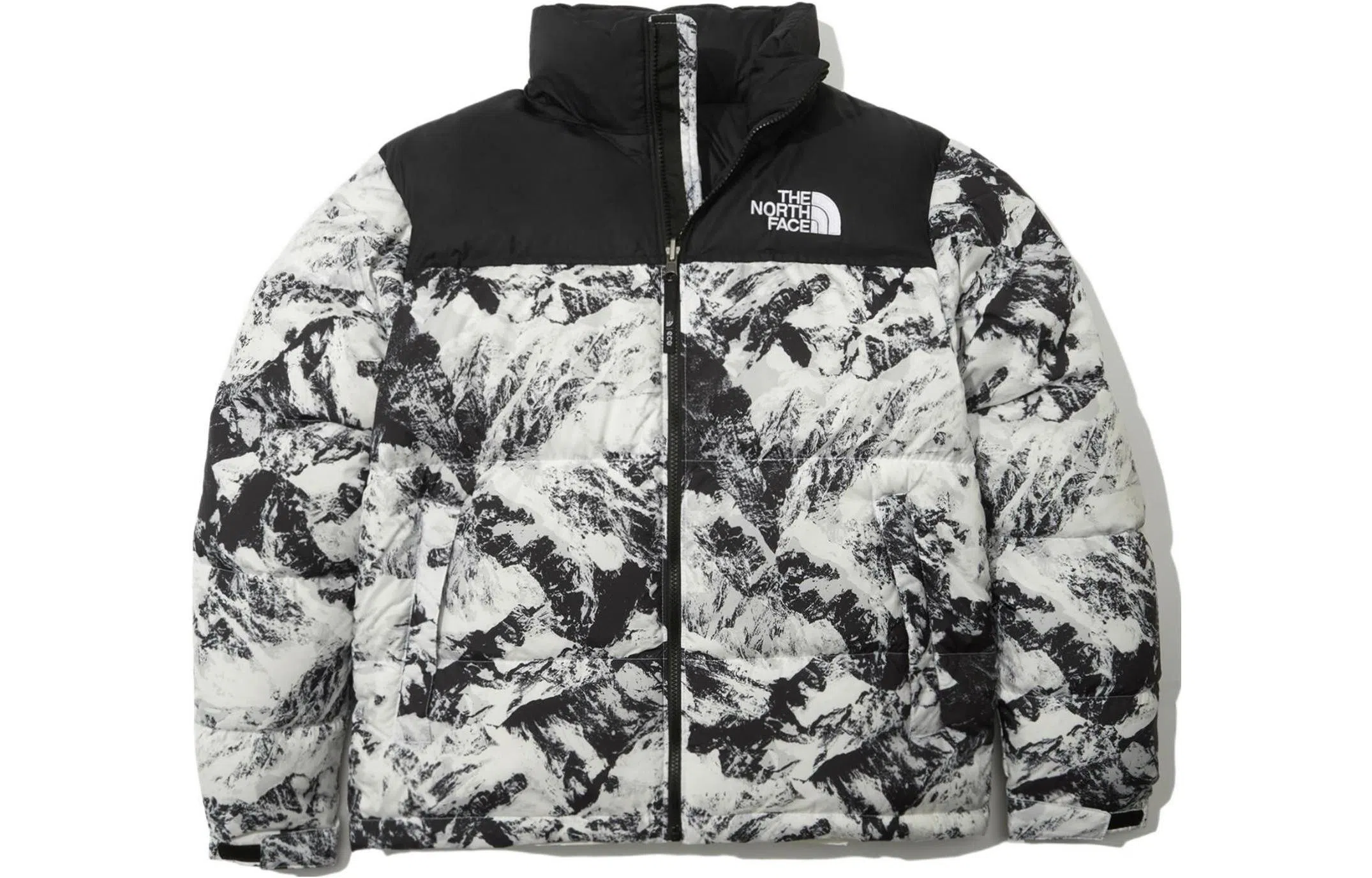 The North Face 1996 Novelty Nuptse Jacket
