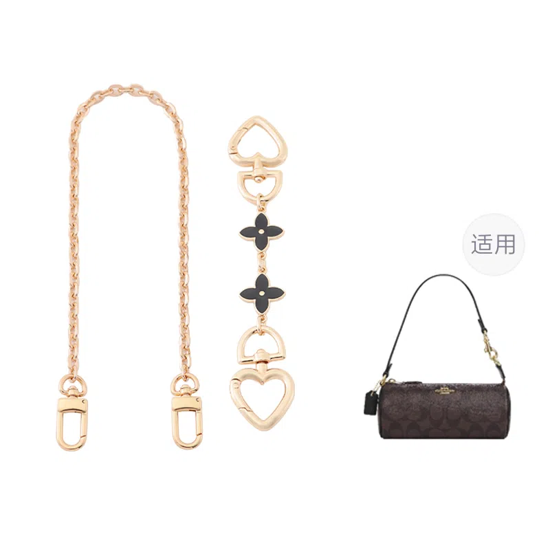 COACHnolita20