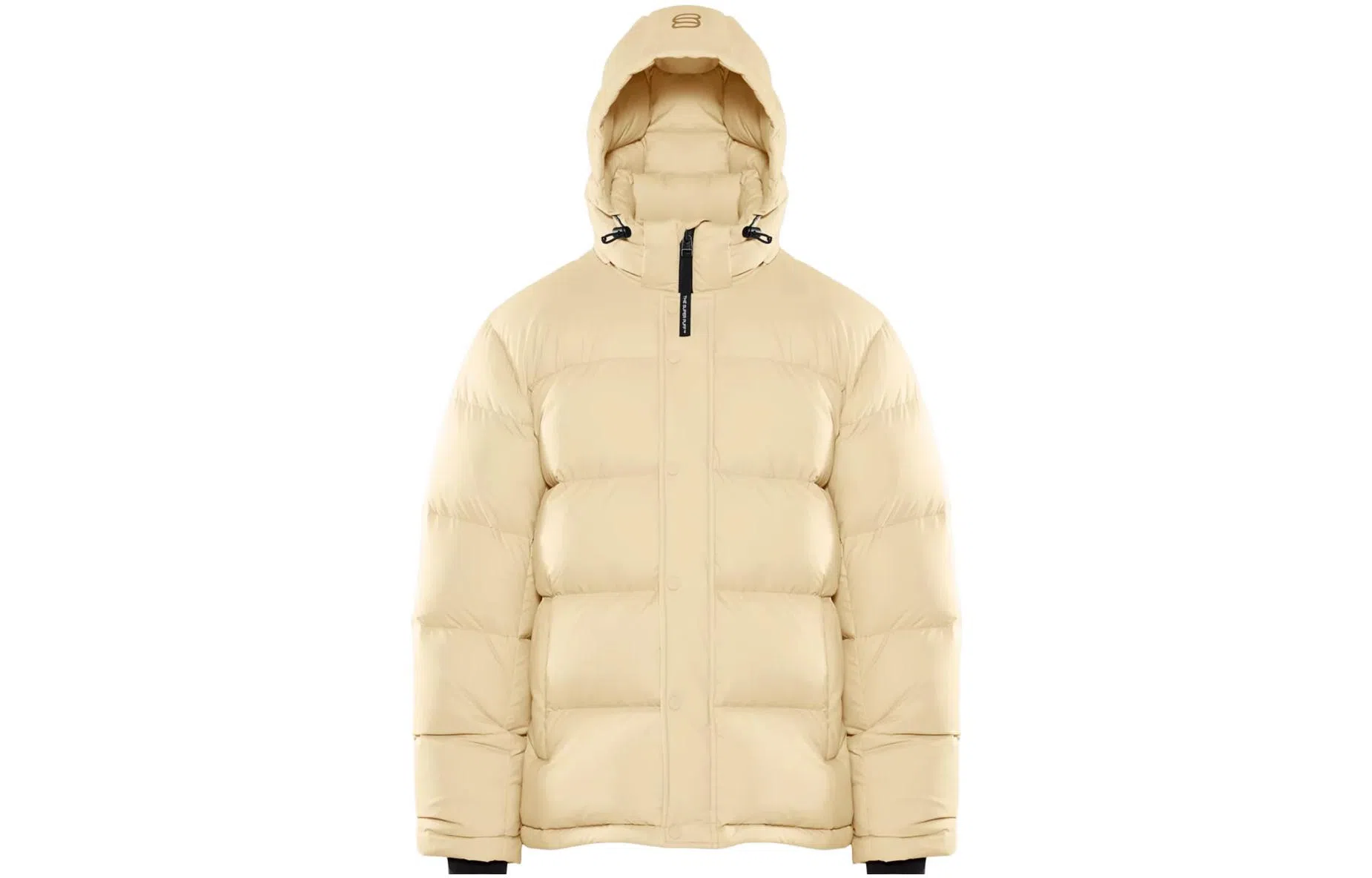 ARITZIA Super Puff Men's cliMATTE 700+ 5