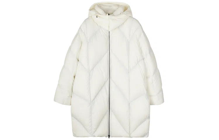 FW23