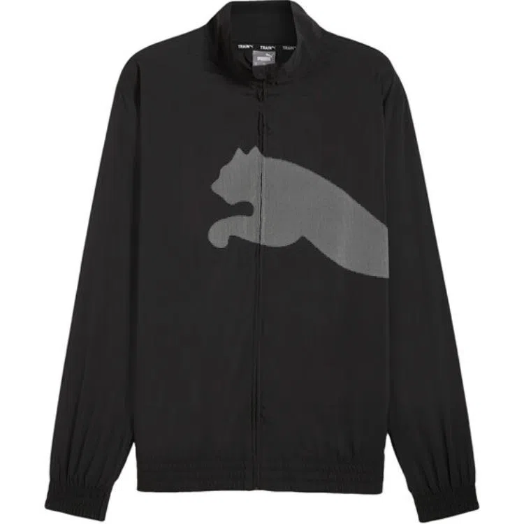 PUMA TRAIN BIG CAT Logo