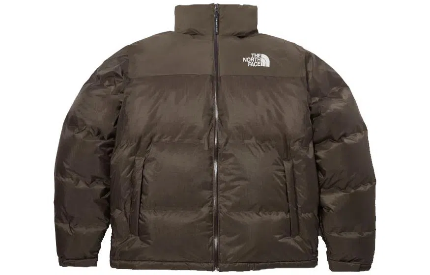 The North Face 1996 Dryvent Down Jacket