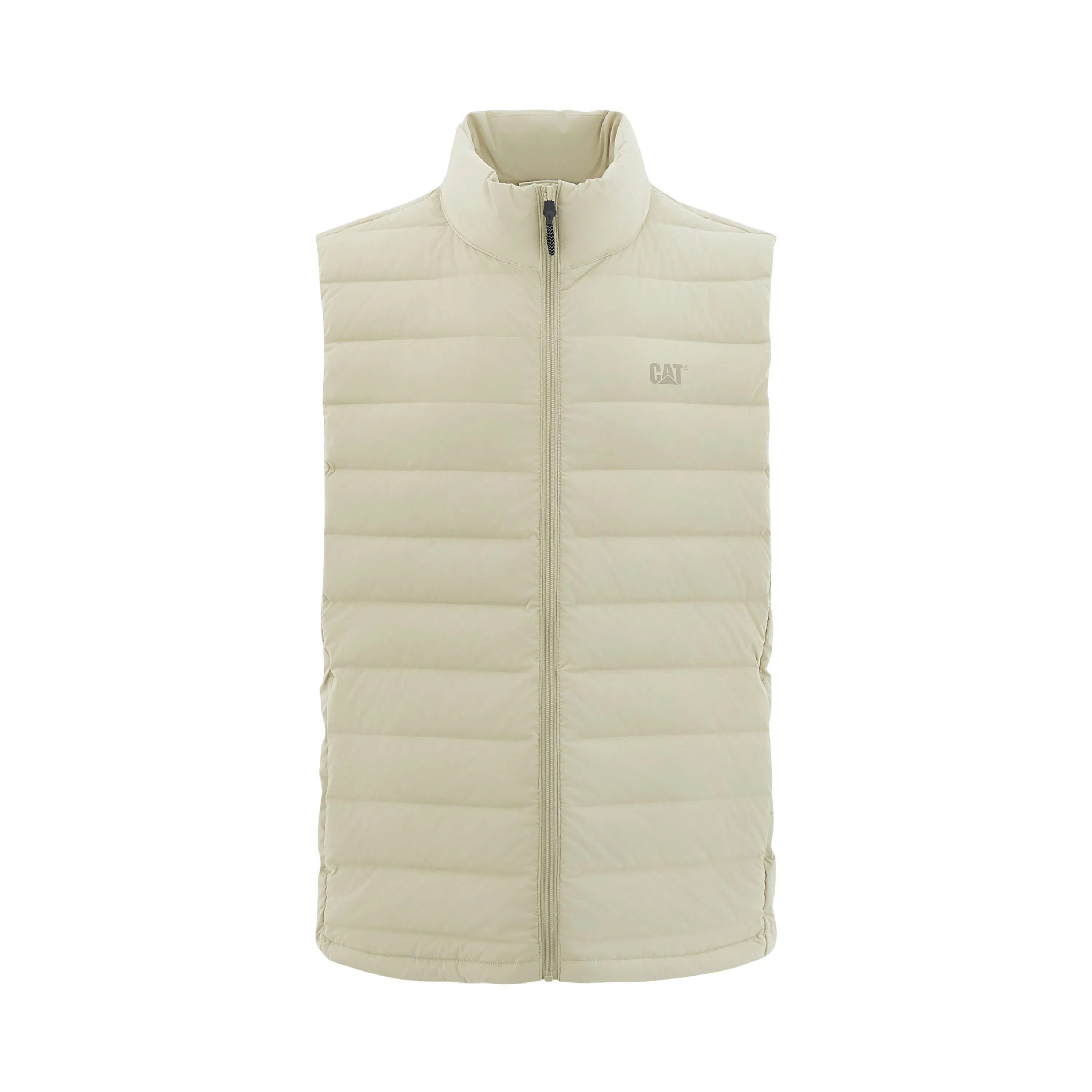 CAT FW24