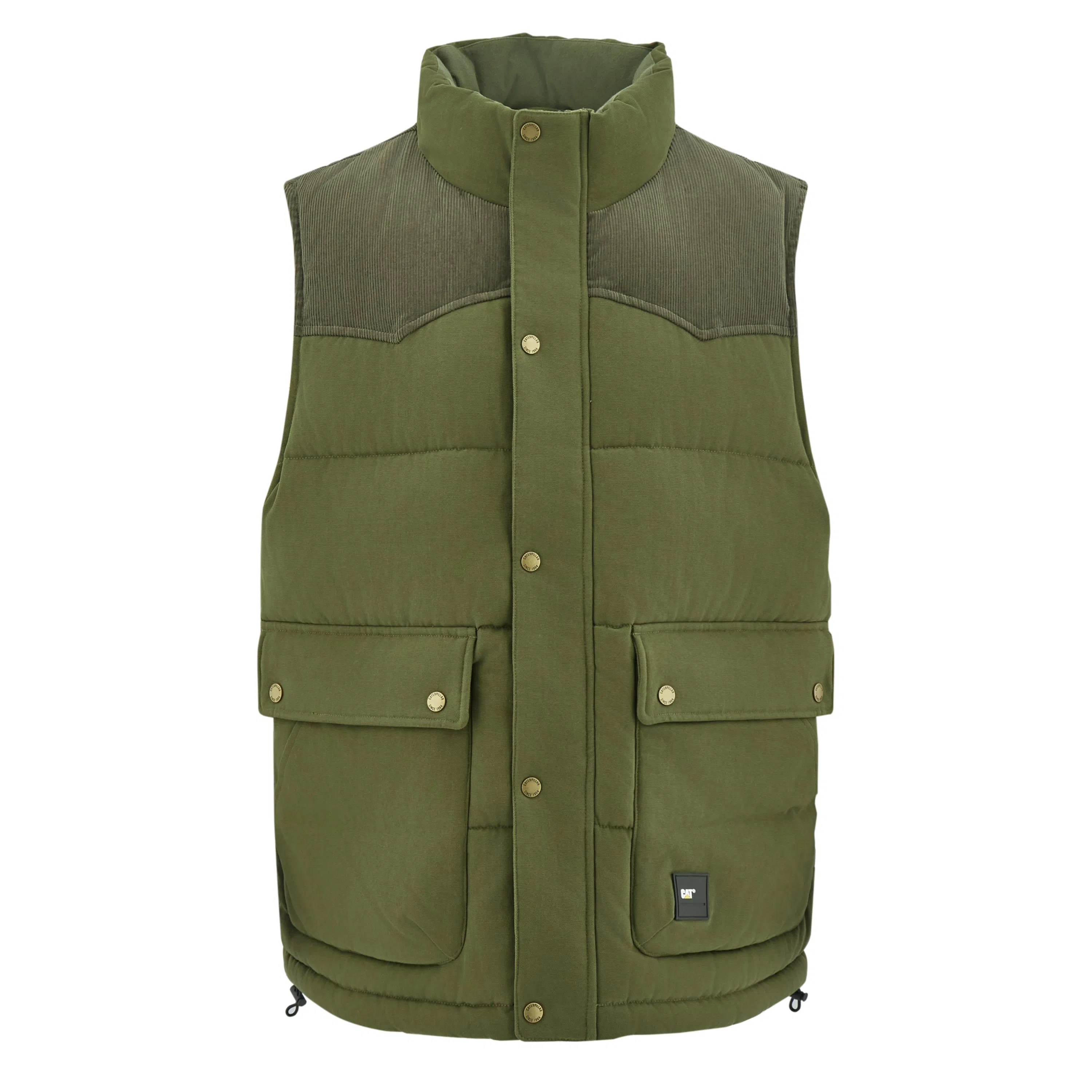 CAT FW24
