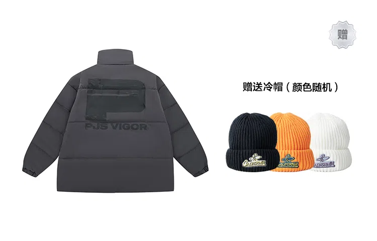 PJ's Vigor Logo