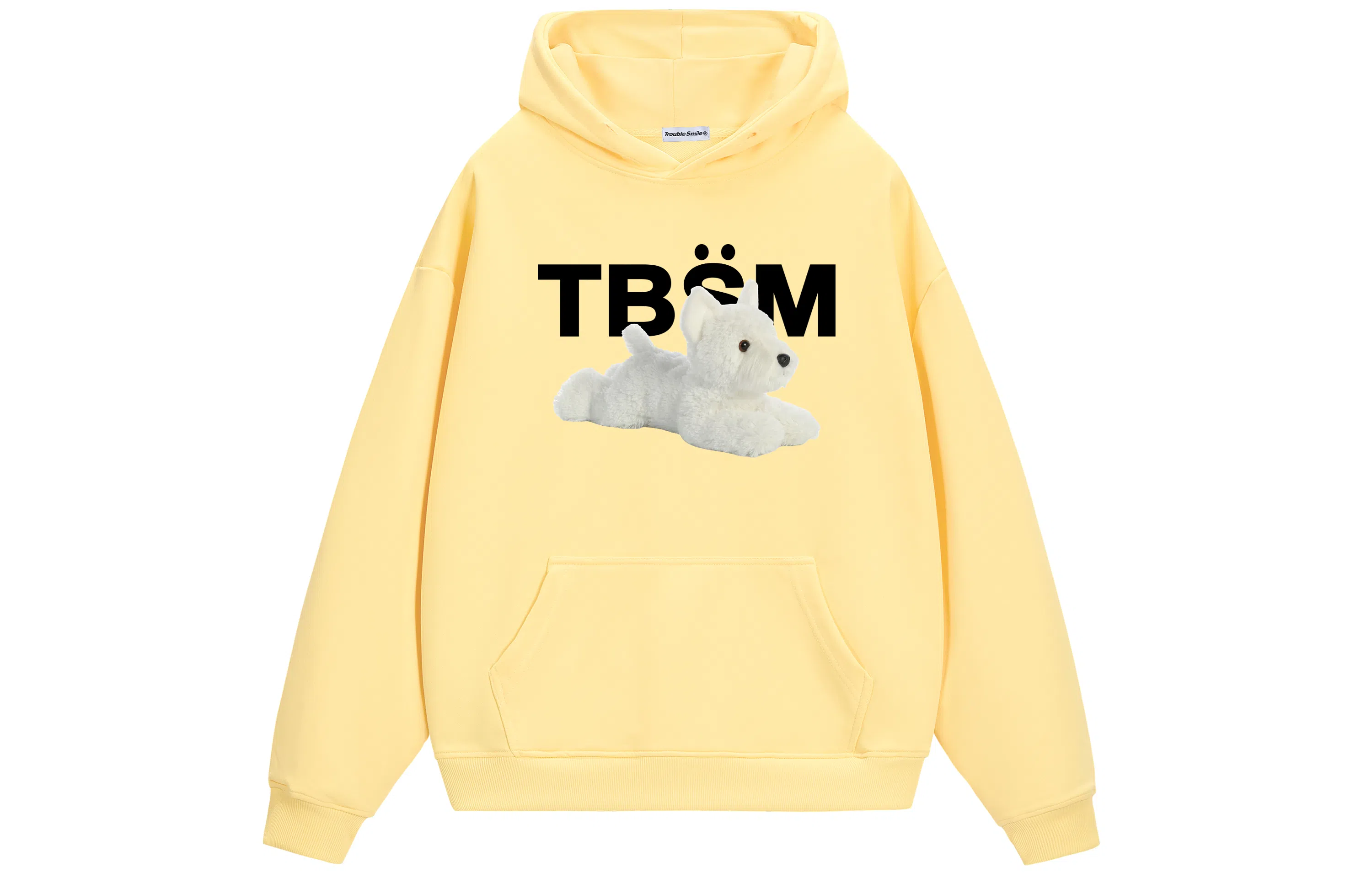TBSM LOGO