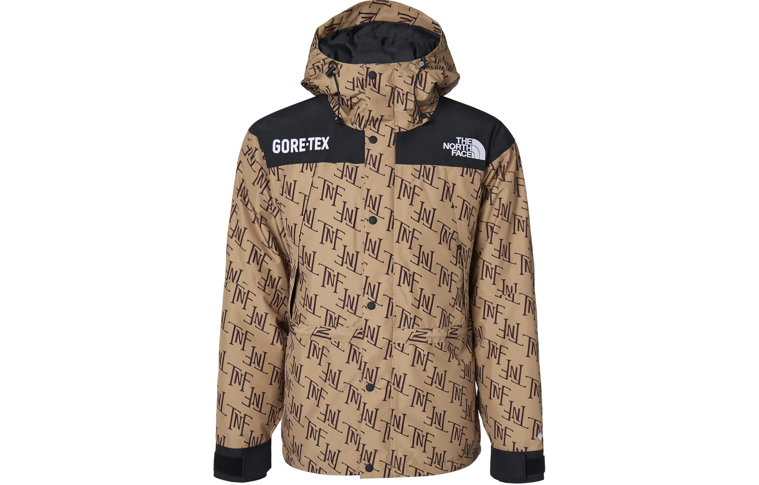 The North Face GORETEX600 Almond