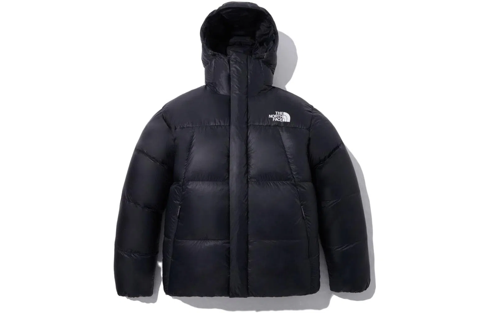 THE NORTH FACE FW23 Eco BARUNTSE DOWN Logo