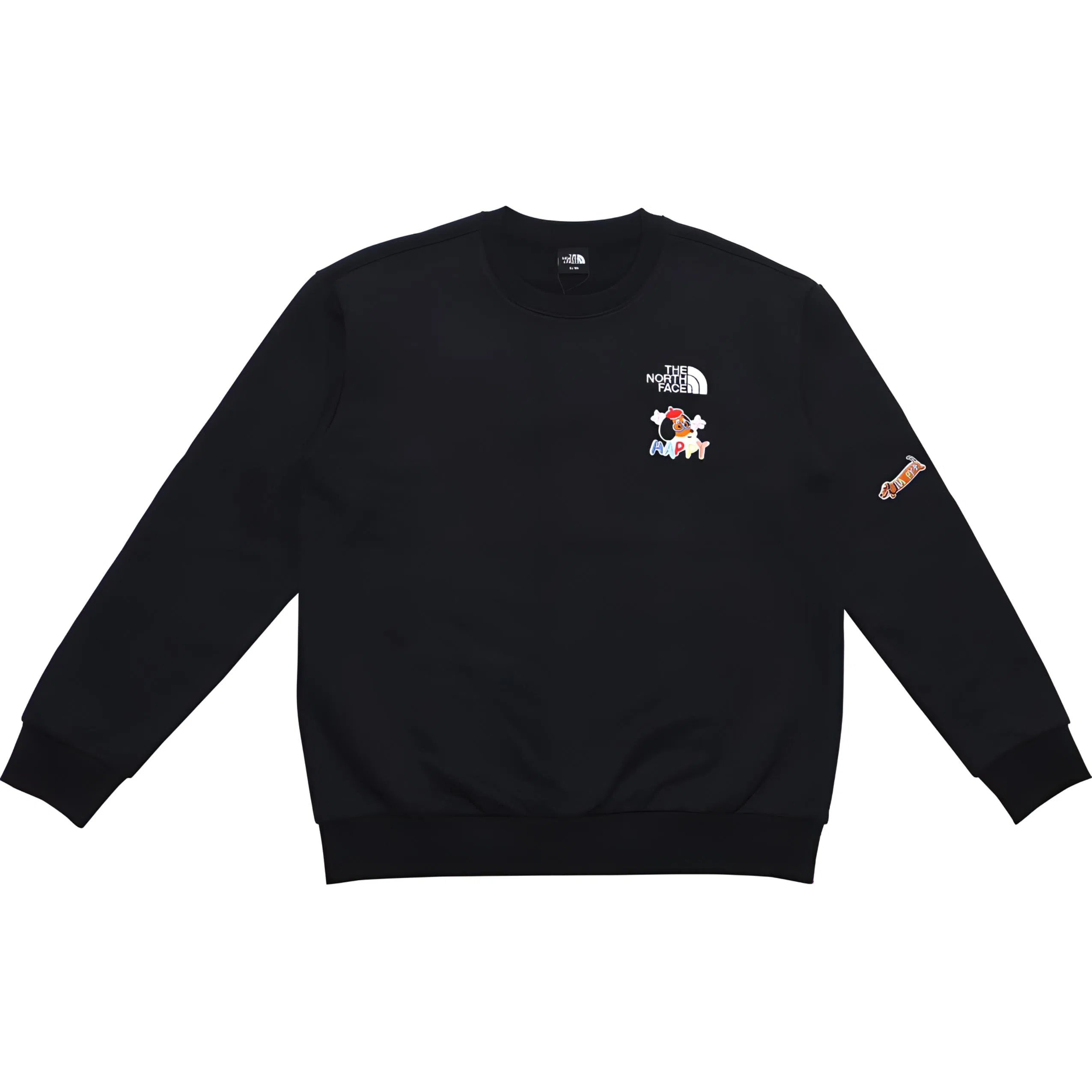 THE NORTH FACE SDSLogo