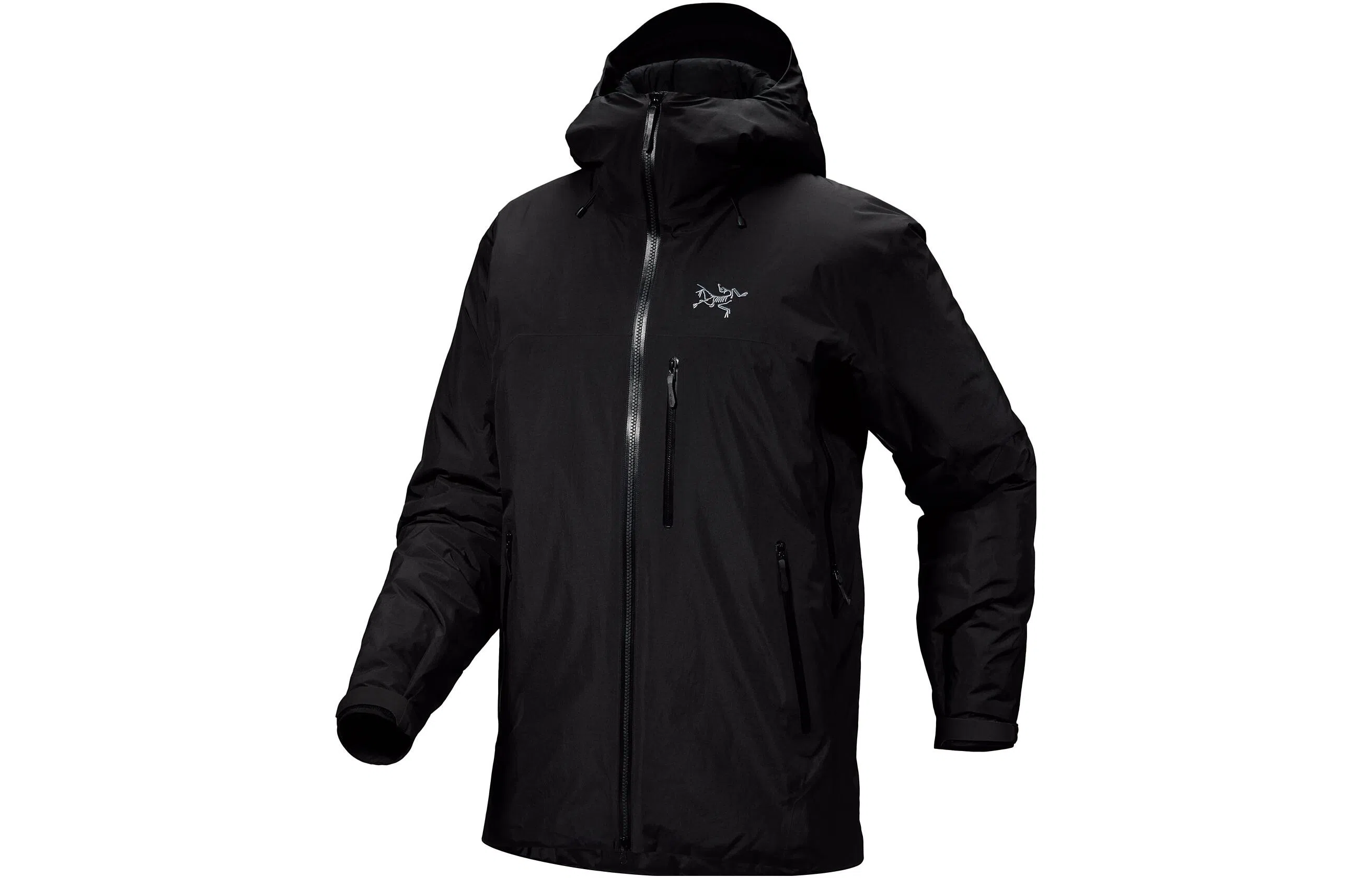 Arcteryx Beta insulated GTX Logo2023